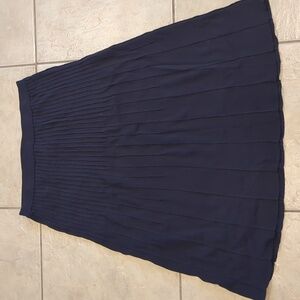 Nicaya A-Line Navy Blue Skirt Size Large